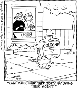 heathcliff